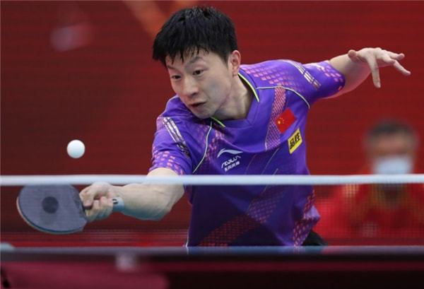 风险因素 风险因素